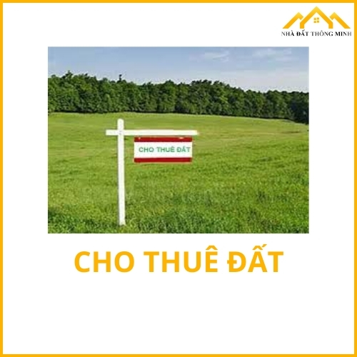 Cho thuê Đất